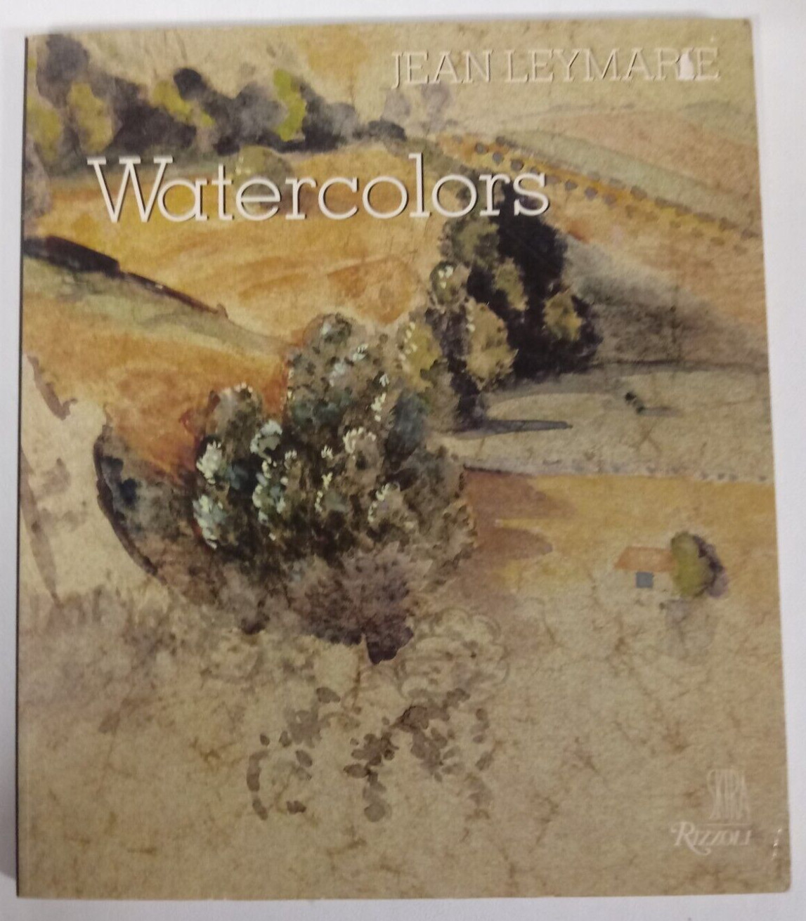 Watercolors From Durer To Balthus PB Jean Leymarie Painting Artistry