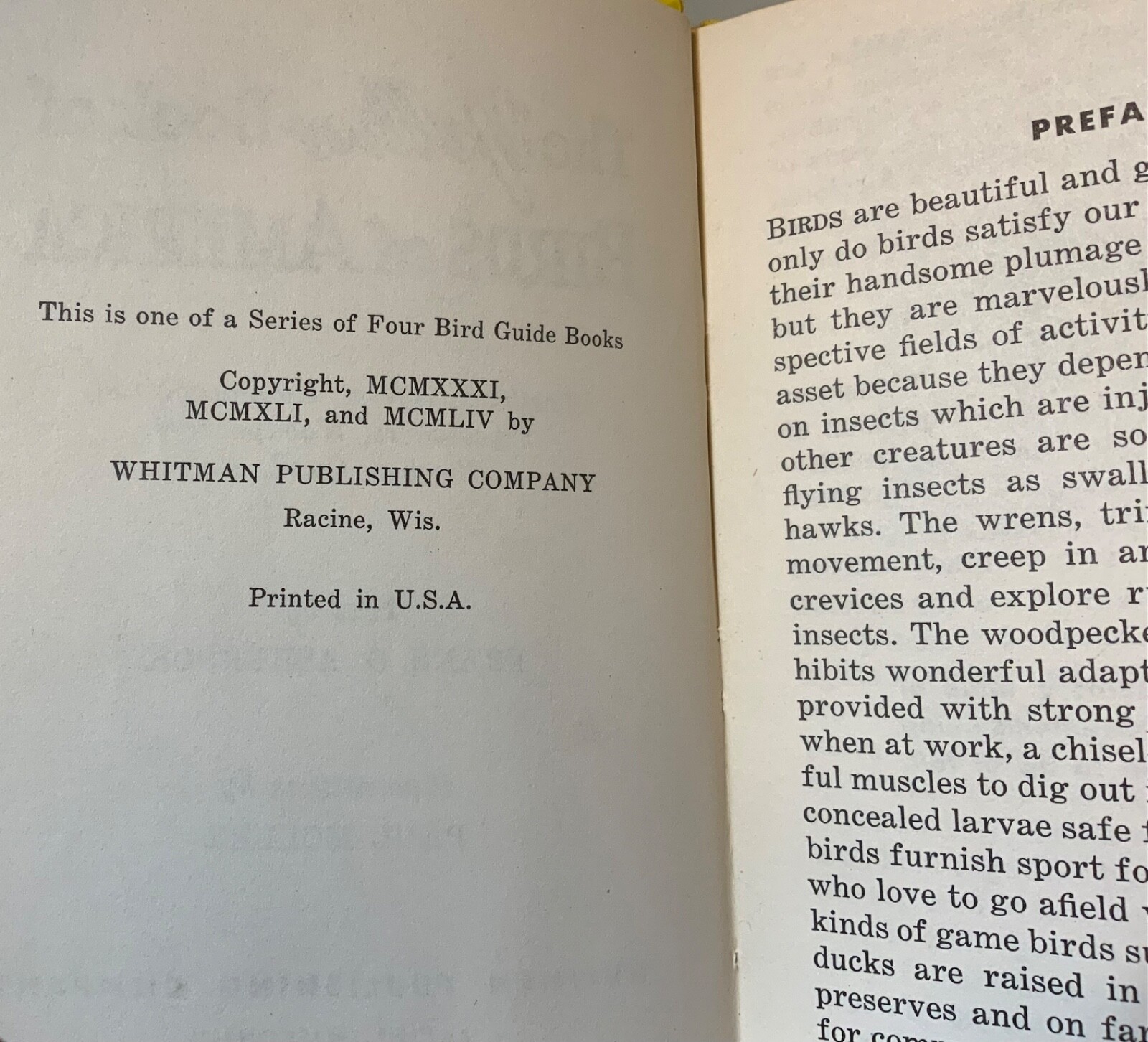 VTG 1954 The Yellow Book of Birds Of America Whitman Publishing 2978:25 HTF
