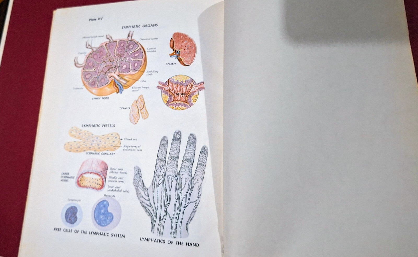 Family Medical Guide Better Home And Gardens 1976 with Atlas Of The Body Book