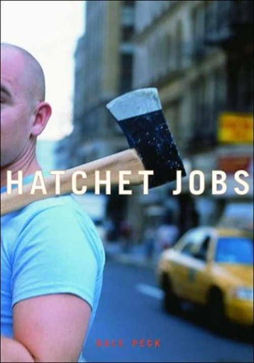 Hatchet Jobs : Writings on Contemporary Fiction Hardcover Dale Pe