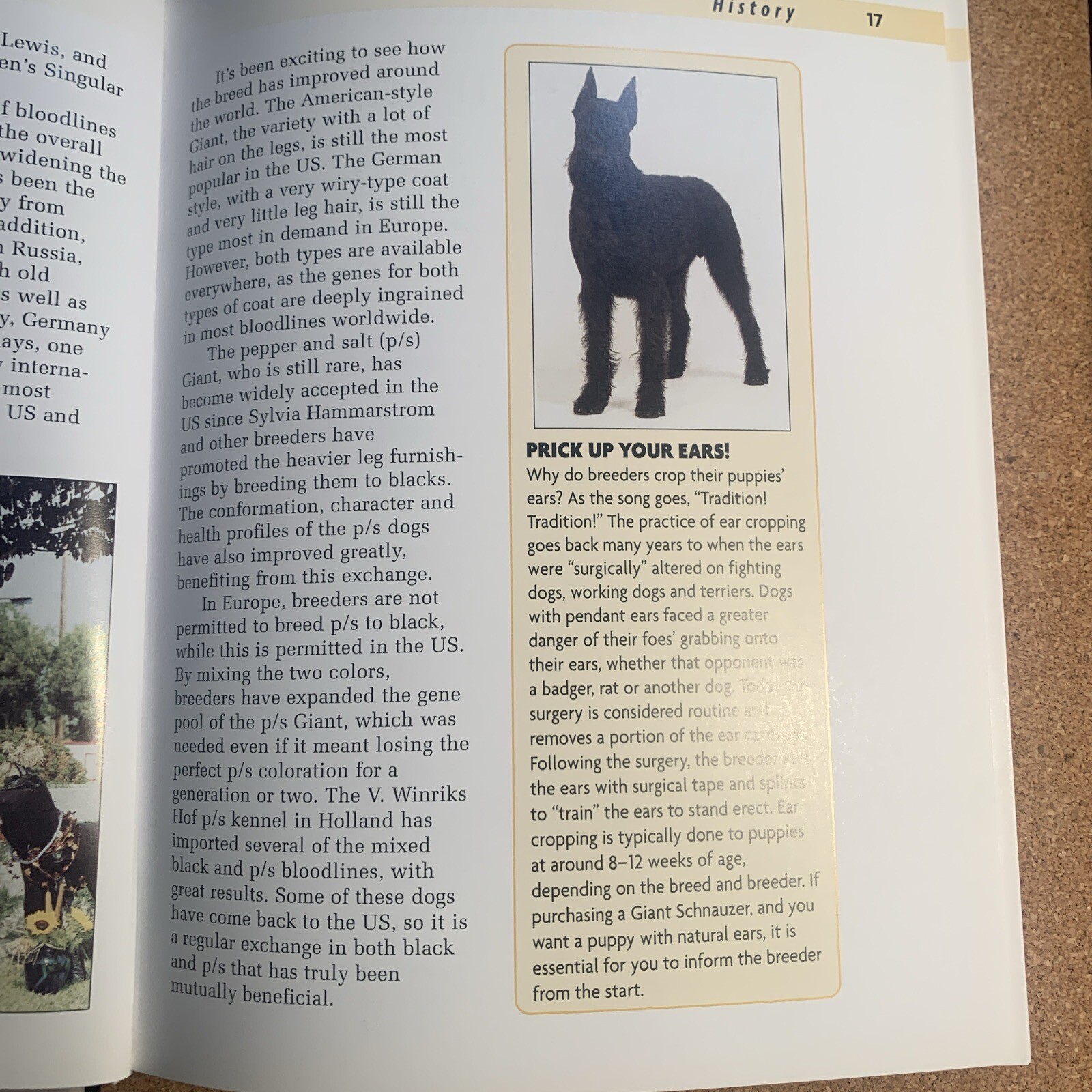 A Kennel Club Book Giant Schnauzer Comprehensive Guide To Owning And Caring For