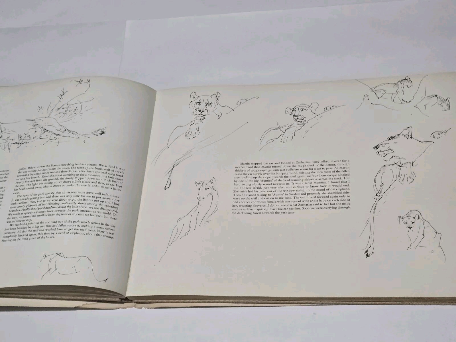 An Artist’s Safari By Ralph Thompson 1970 Hardcover DJ Artist Sketch Book