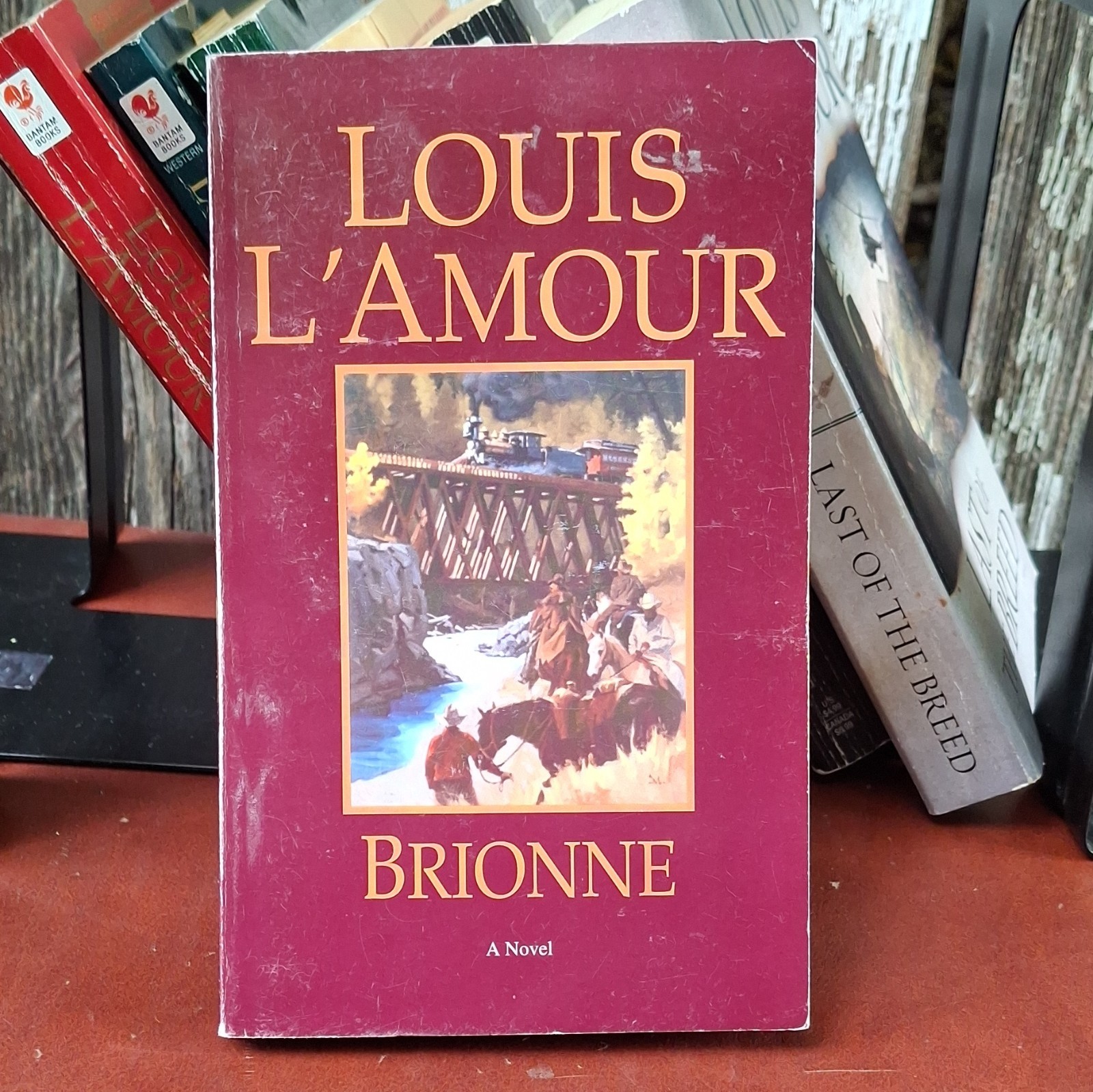 Louis L’Amour Western Lot (18 Books) Frontier Adventure Set