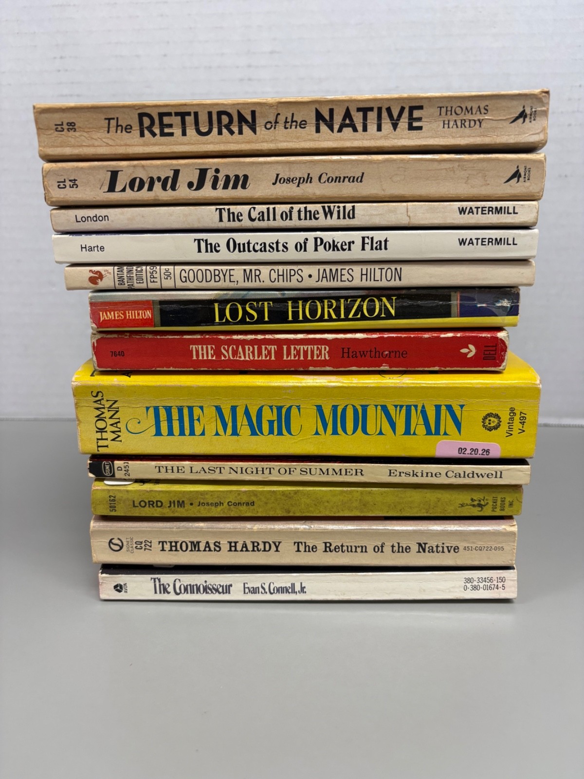 Classic Novels Lot of 12 Paperbacks (See Photos for Titles)