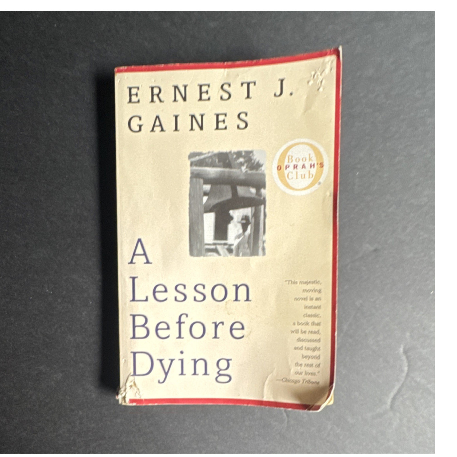 Ernest J. Gaines A Lesson Before Dying (Vintage Contemporaries) 1997 TPB