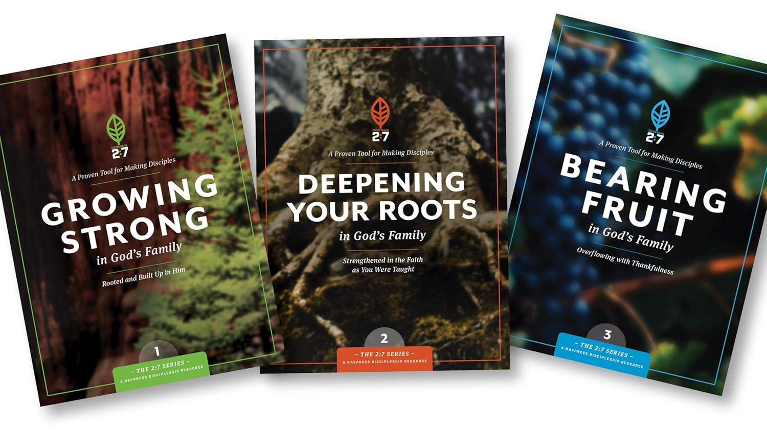 Growing Strong in God’S Family: Rooted and Built up in Him (The 2:7 Series)