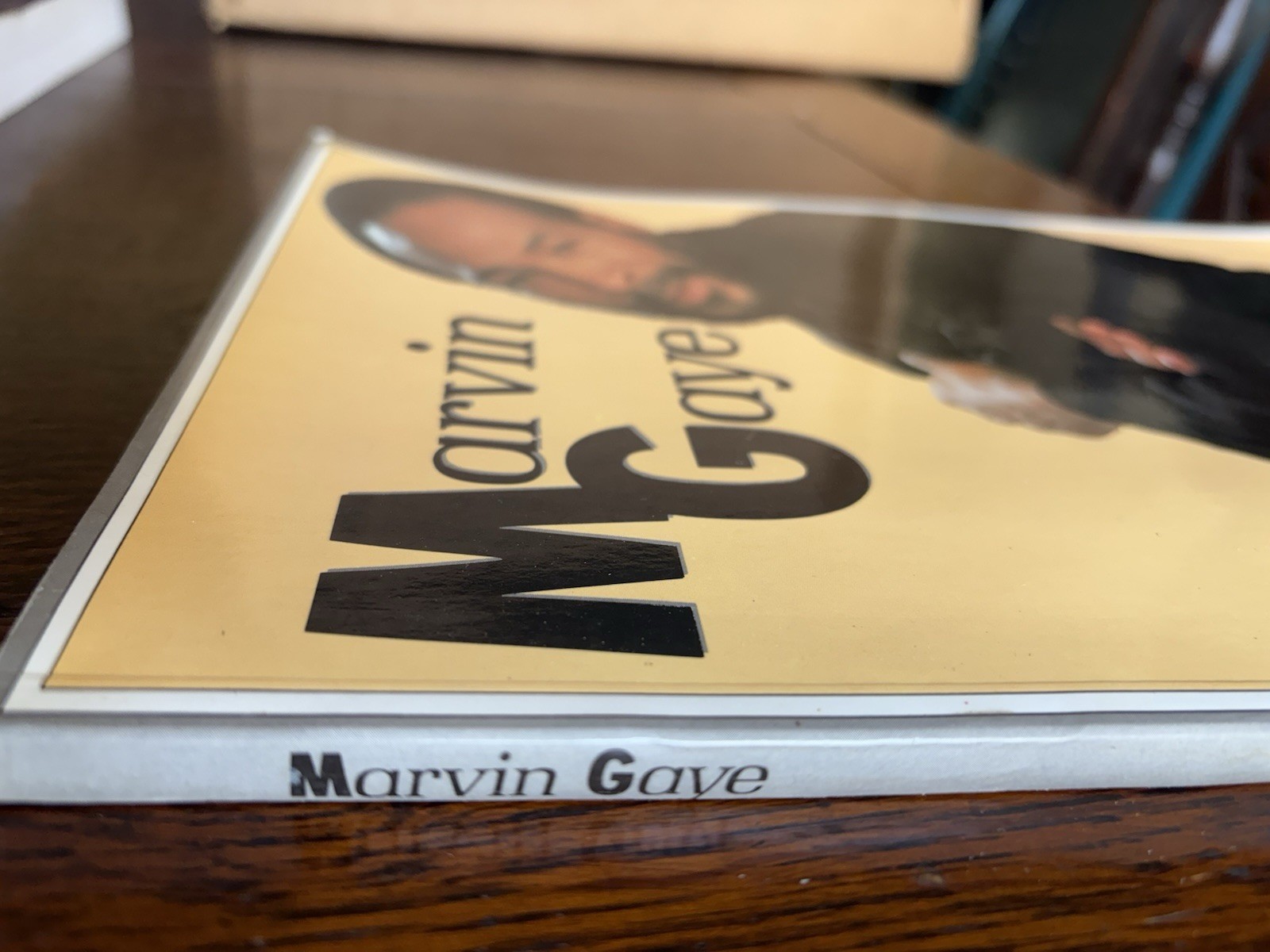 Marvin Gaye by Sharon Davis (1984 Trade Paperback): 124 Pages Very Good Cond