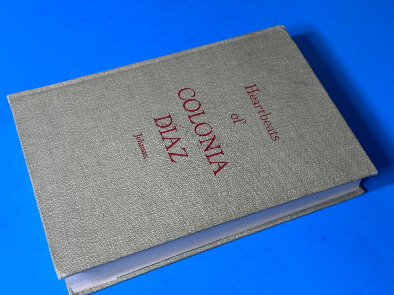 Heartbeats of Colonia Diaz Annie Johnson Mormon 1972 Mexico