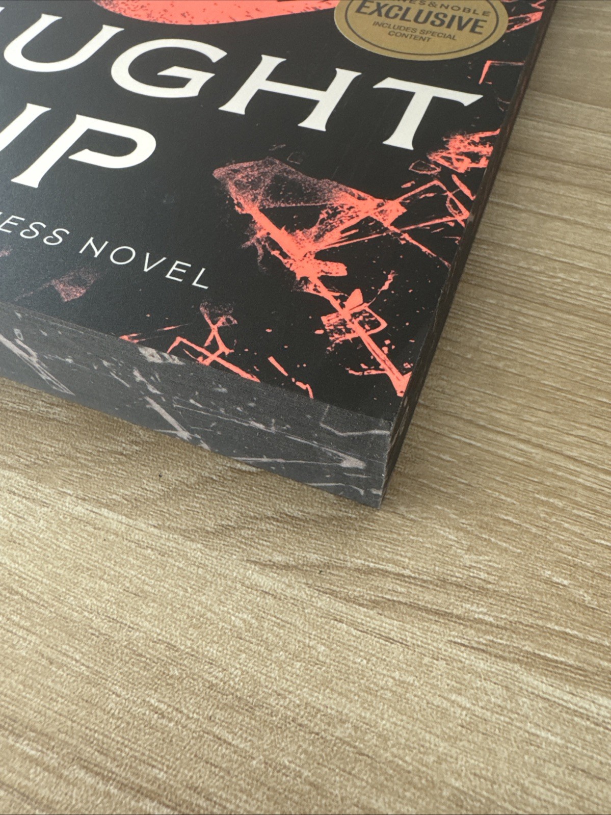 Caught Up Navessa Allen Barnes & Noble Exclusive Sprayed Edge Bonus Content