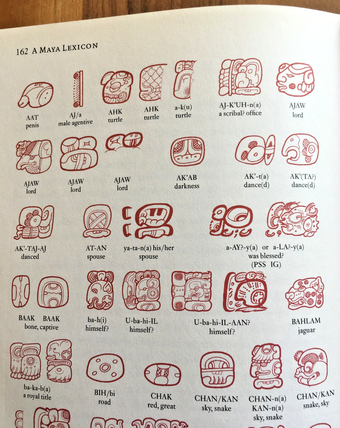 Reading the Maya Glyphs ~ Michael Coe & Mark Van Stone ~ 2001 – HC DJ 1st Ed.!