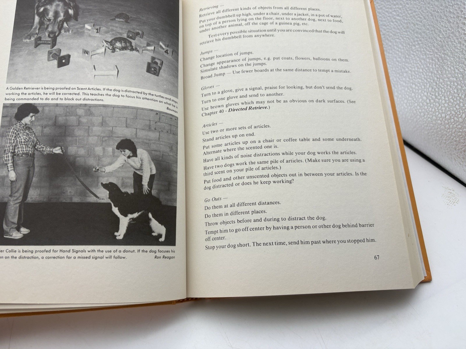Beyond Basic Dog Training Diane L Bauman Hardcover Howell Dog Book 1986