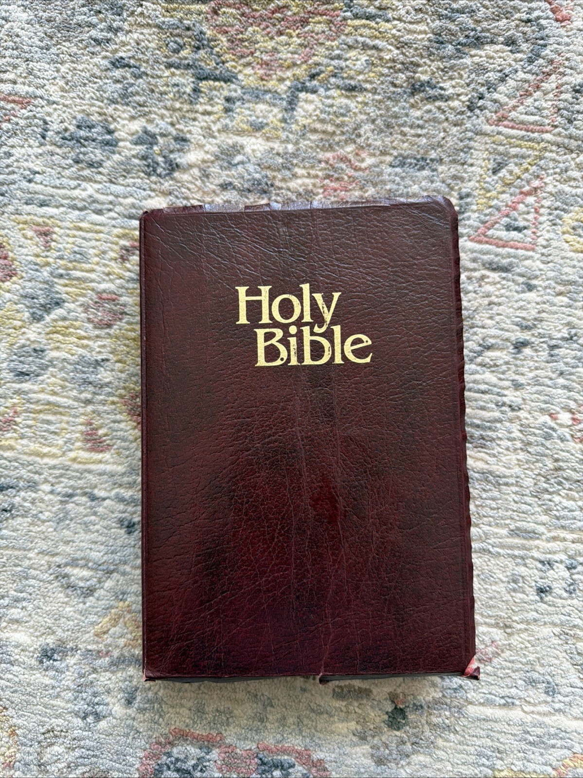 Holy Bible Dictionary Concordance Words Of Christ In Red KJV Nelson Red Cover