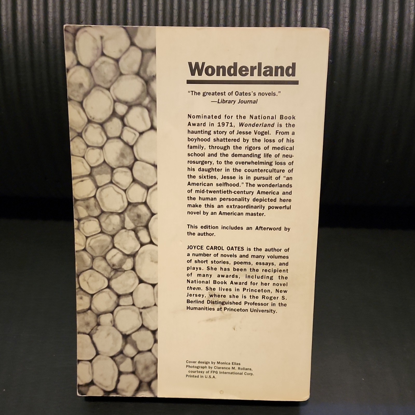 Joyce Carol Oates Wonderland Paperback Book Club Edition 1992, Illustrated