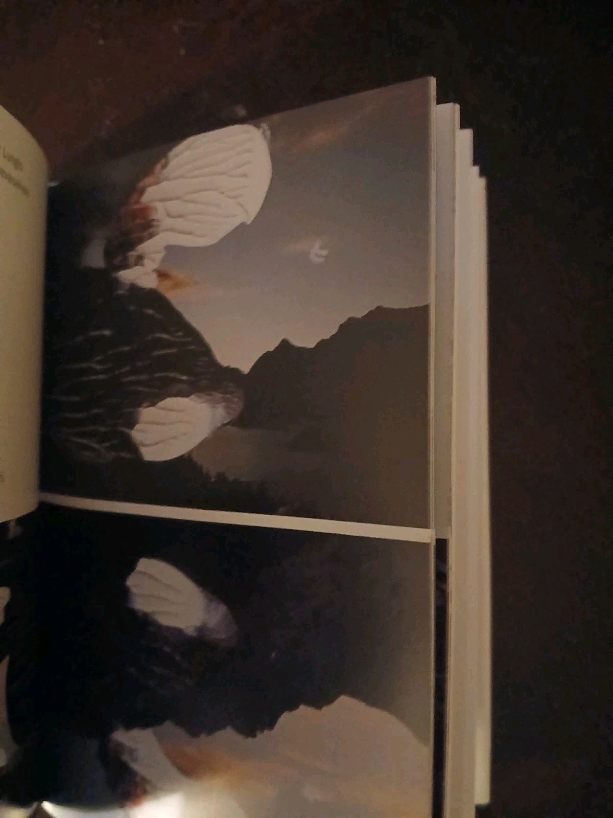 Gerhard Richter Sils 1st edition