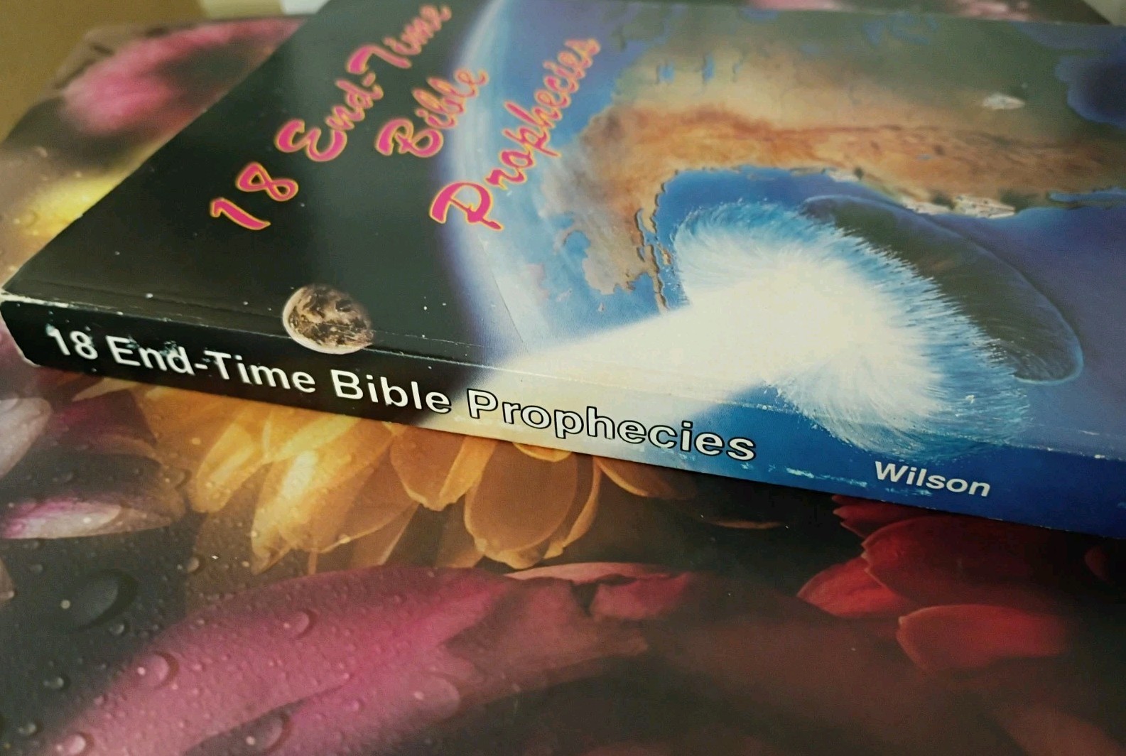 18 End-Time Bible Prophecies – Larry Wilson 1992 Teach Services – Very Good Copy