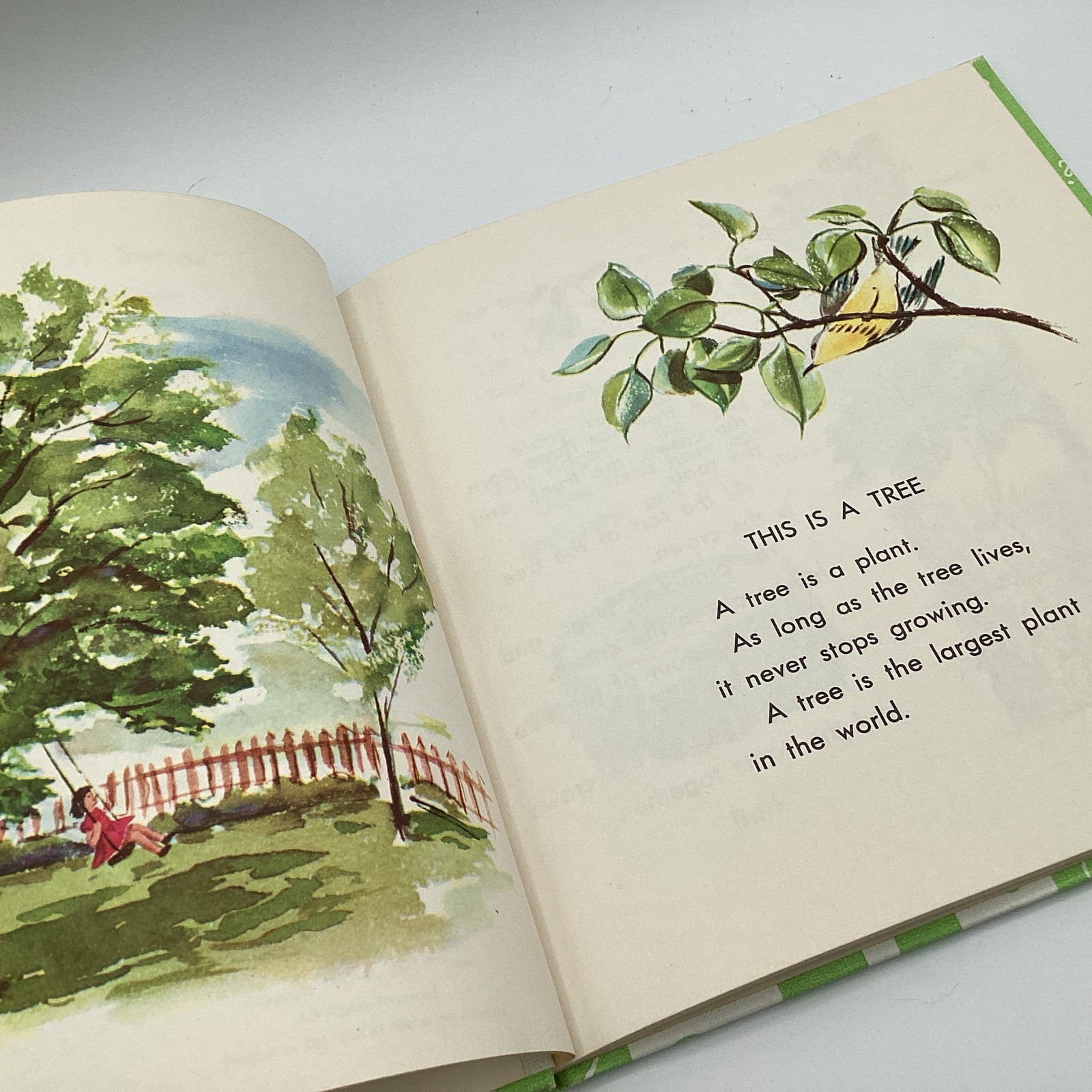 WHAT IS A TREE (The What Is It Series) by Gene Darby, Benfic Press, 1962