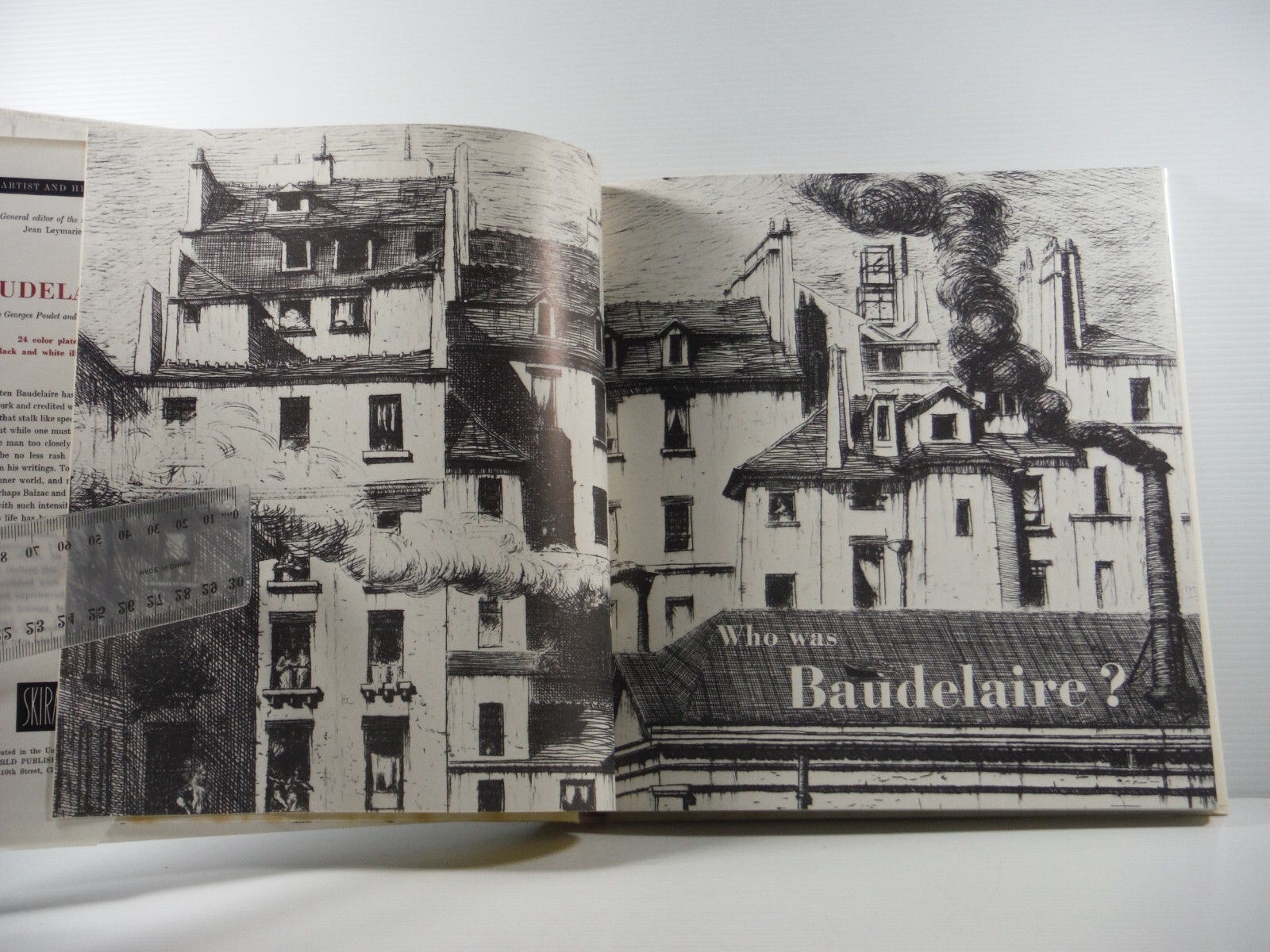 Baudelaire The Artist and His World by Jean Leymarie 1969 Skira biography Art bk