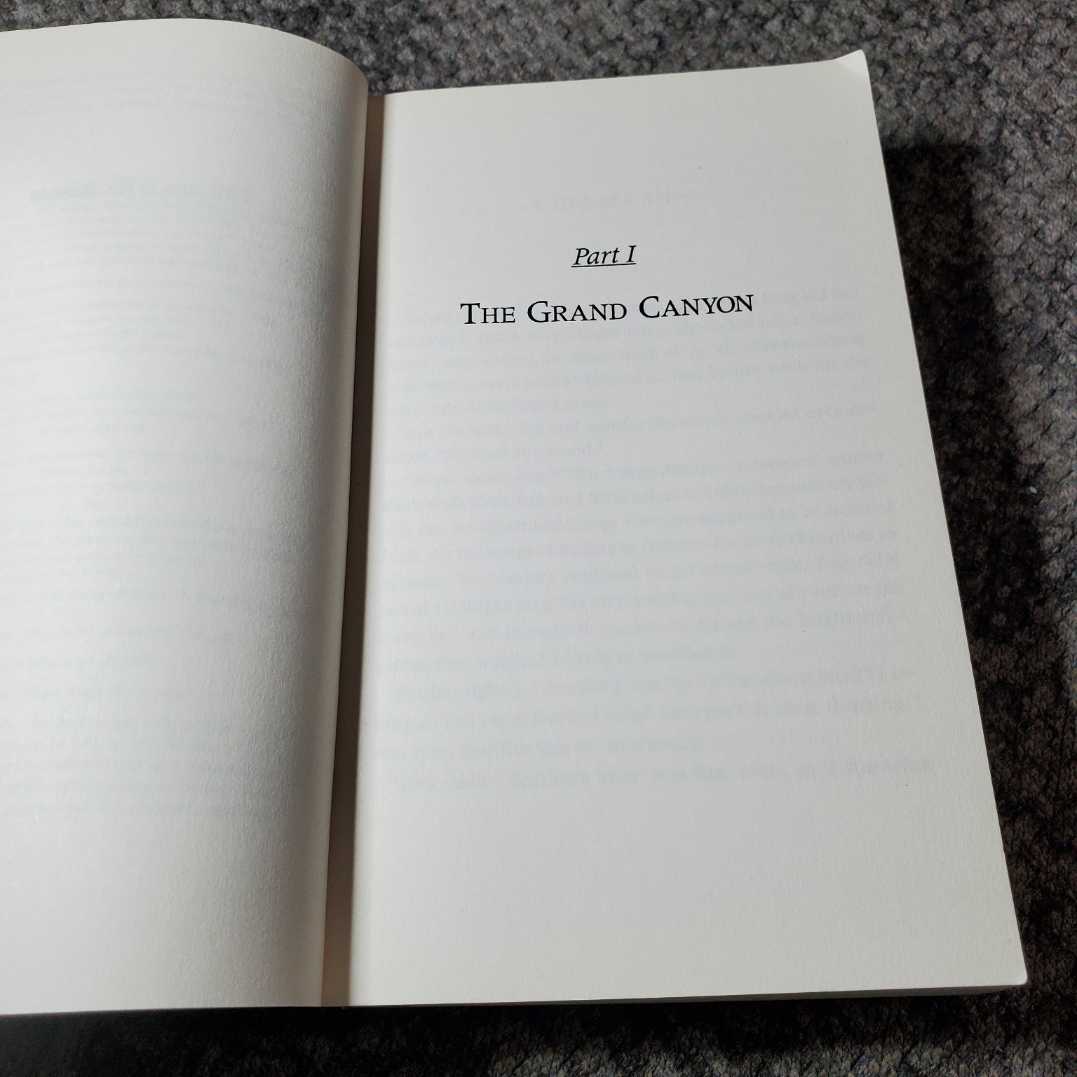 How to Deal Sarah Dessen 2000 Paperback YA Fiction Speak Penguin