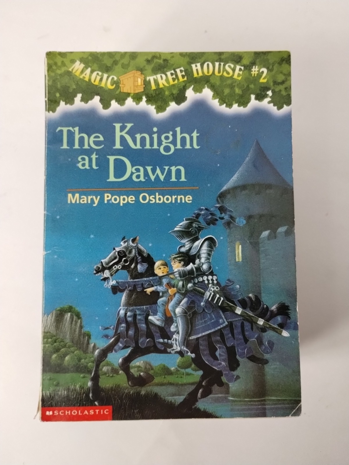 Miscellaneous Lot Of 14 Magic Tree House Books Mary Pope Osborne PB