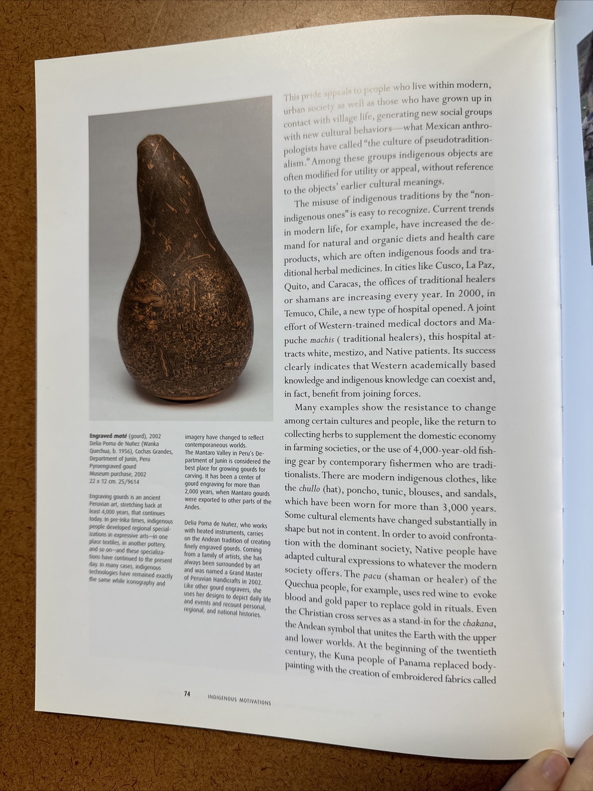 Indigenous Motivations Recent Acquisitions Museum American Indian Native Book