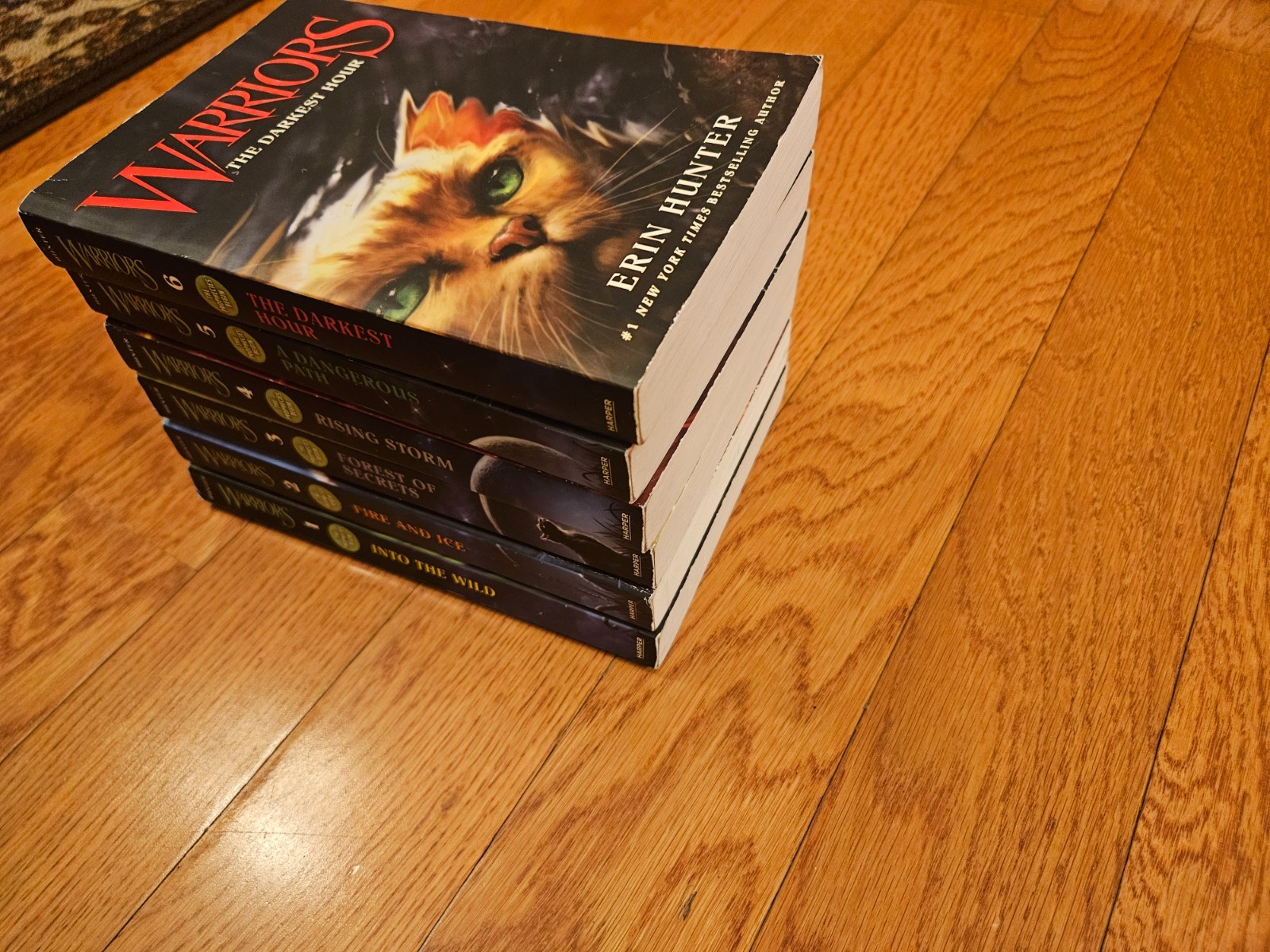 Set Of All 6 Erin Hunter Warriors Books 1st Series „The Prophecies Begin“