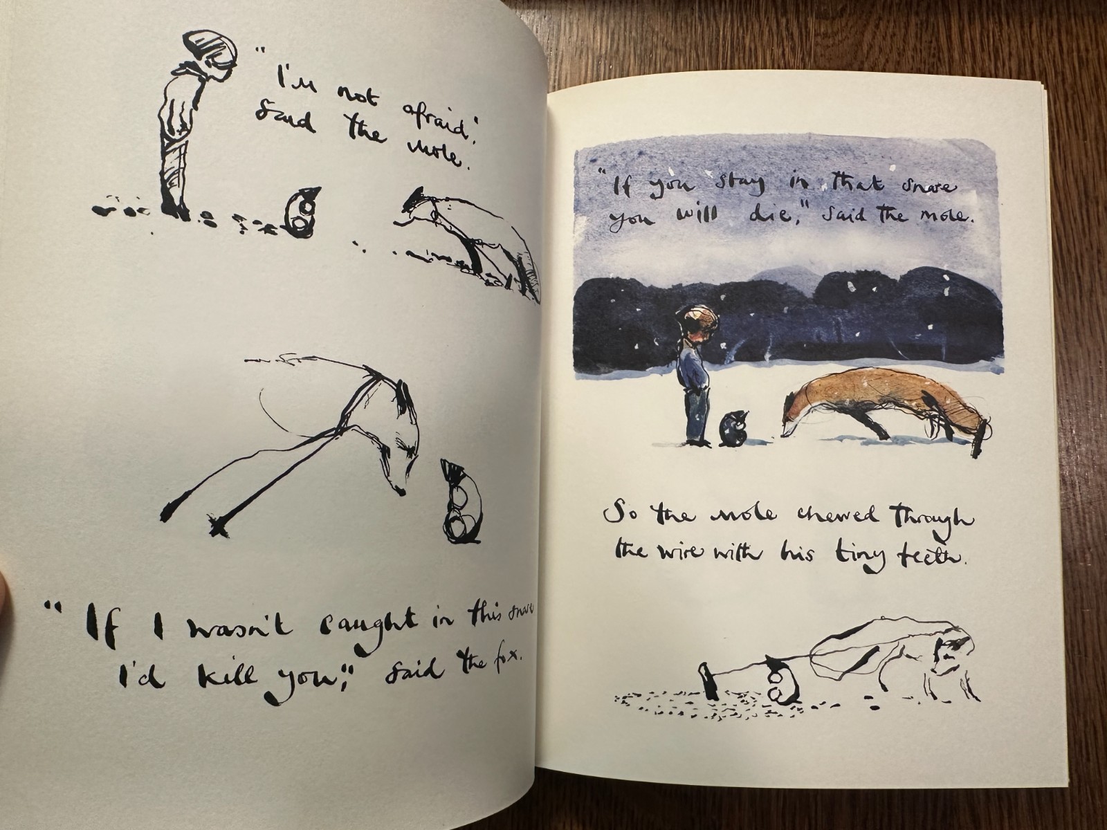 The Boy, The Mole, The Fox and The Horse by Charlie Mackesy ILLUSTRATED CHILDREN