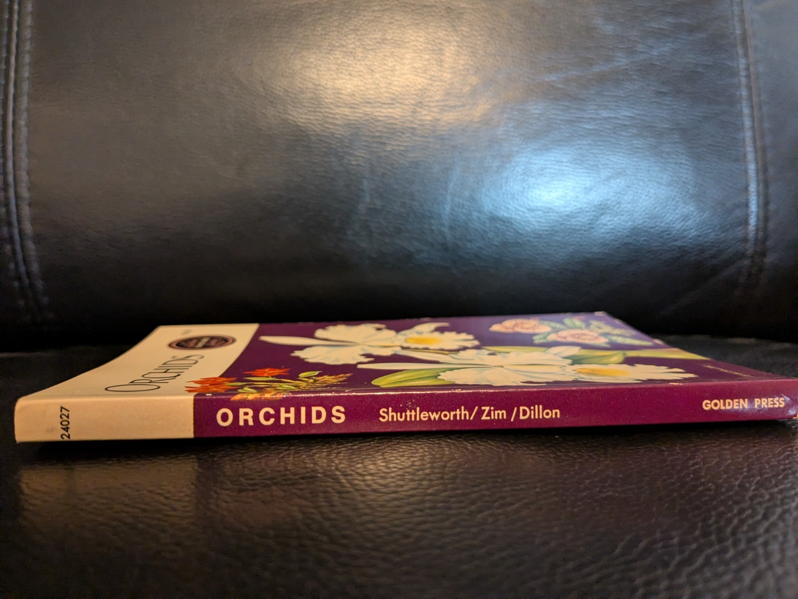 FIRST EDITION! Orchids — A Golden Guide