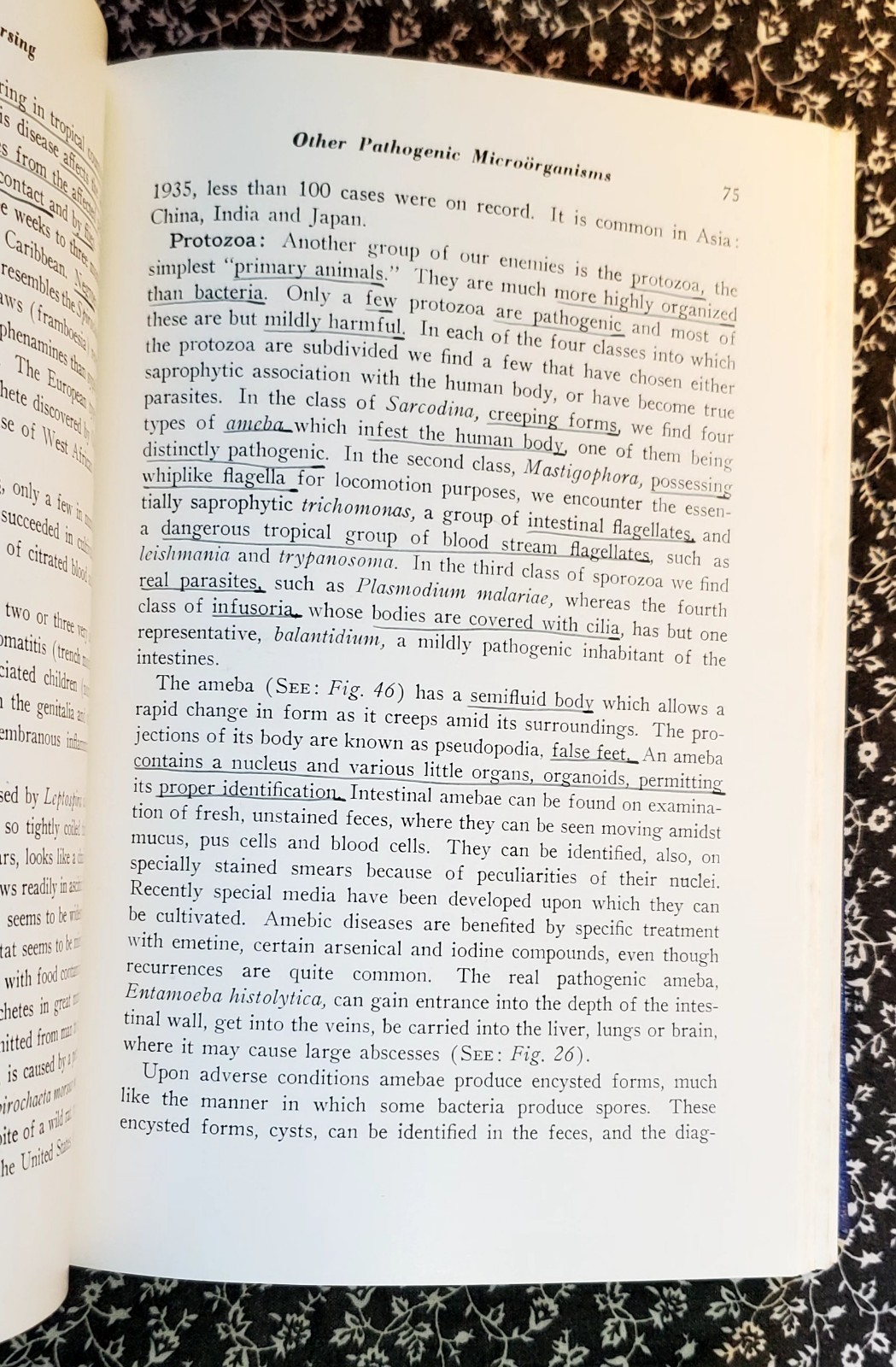Microbiology Pathology And Nursing Eugene C. Piette, 1940, HC