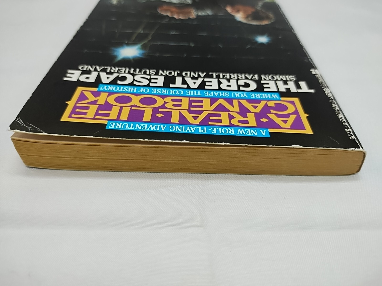 A Real Life Gamebook The Great Escape Choose Your Own Adventure Book