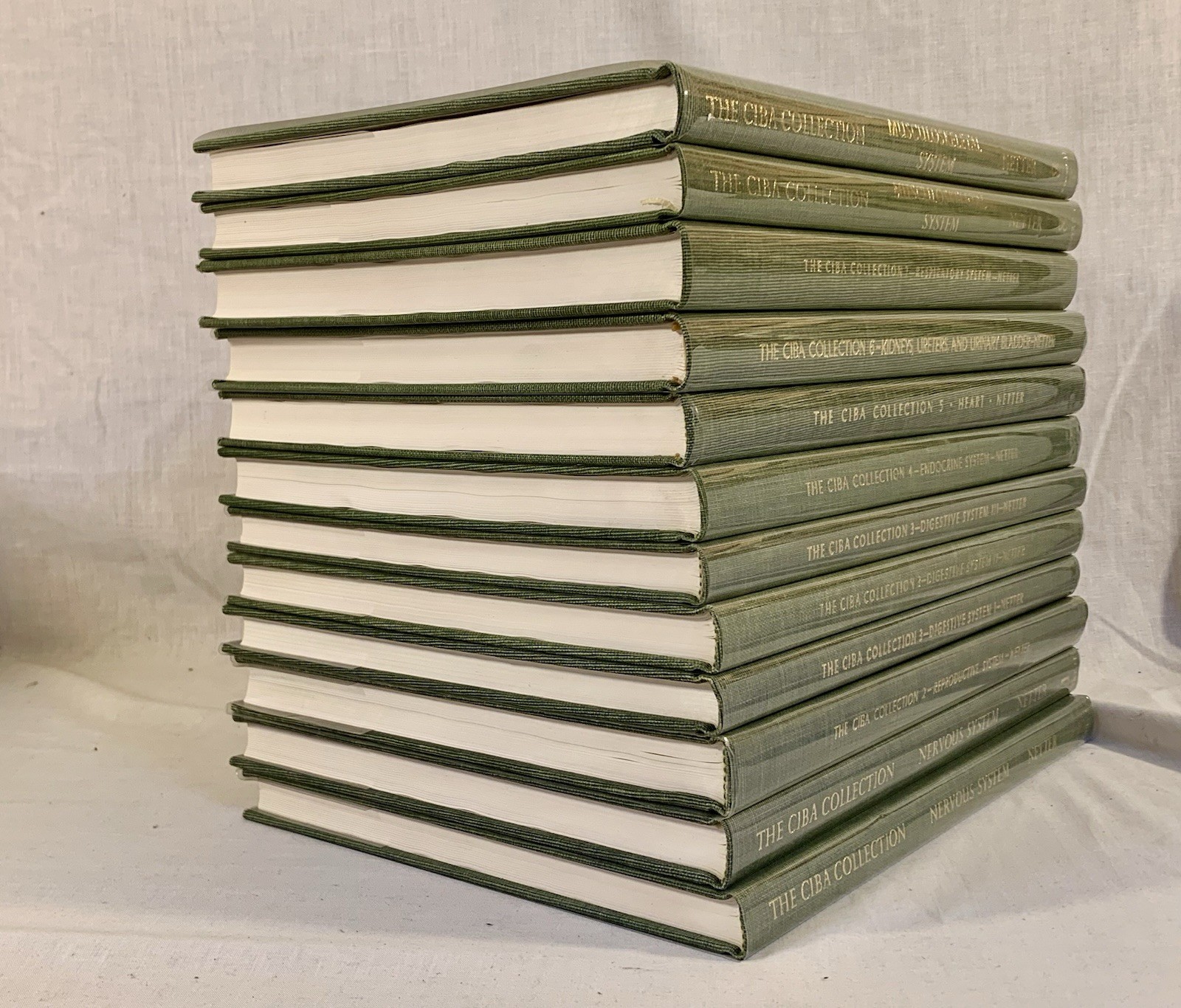THE CIBA COLLECTION OF MEDICAL ILLUSTRATIONS 12 Book 8 Volume Set Frank H Netter