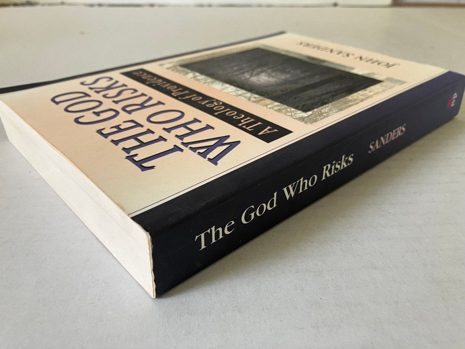 The God Who Risks John Sanders 1998 Theology of Providence InterVarsity Press