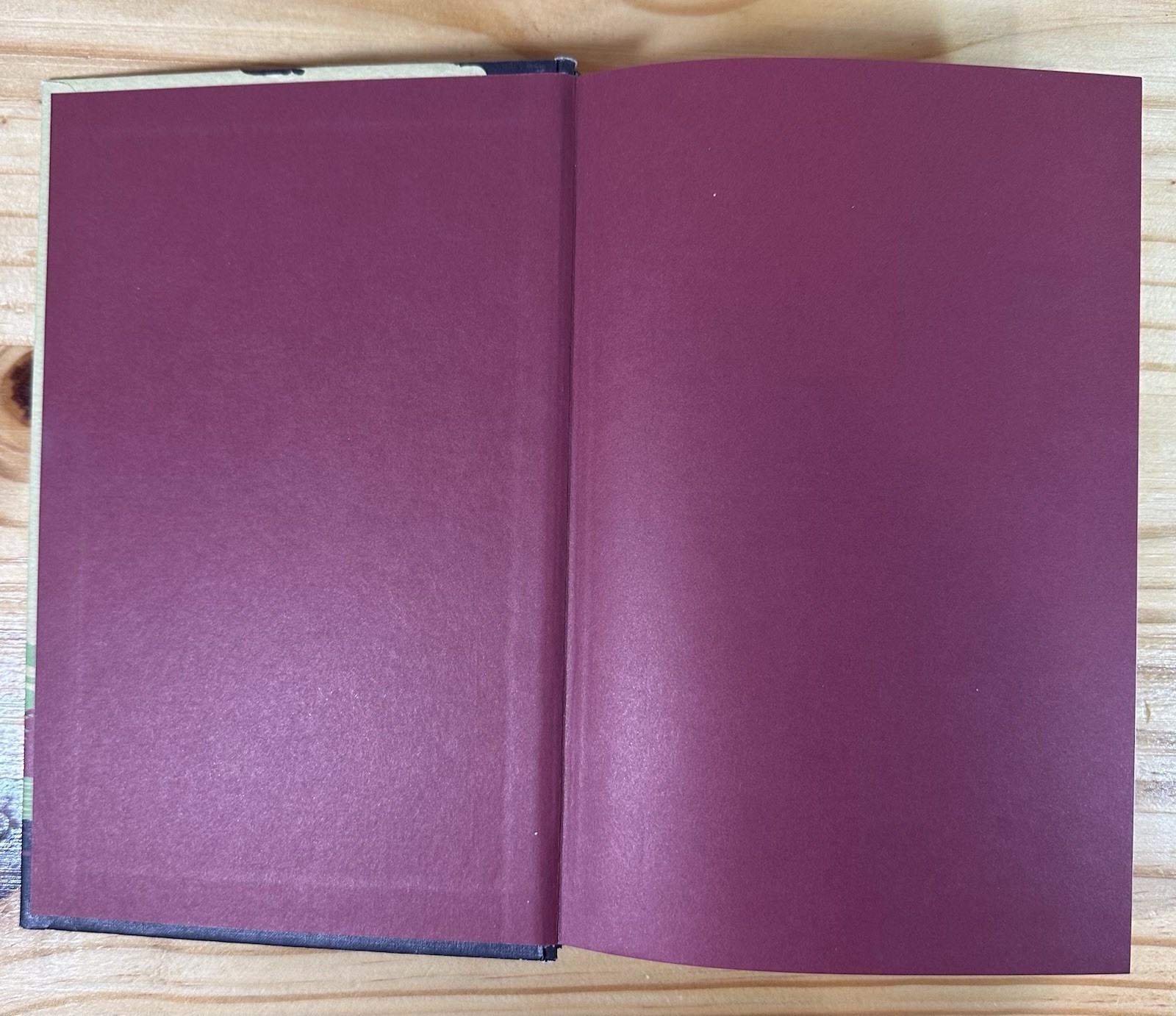 THE WAY HOME: TALES FROM A LIFE WITHOUT TECHNOLOGY By Mark Boyle – Hardcover