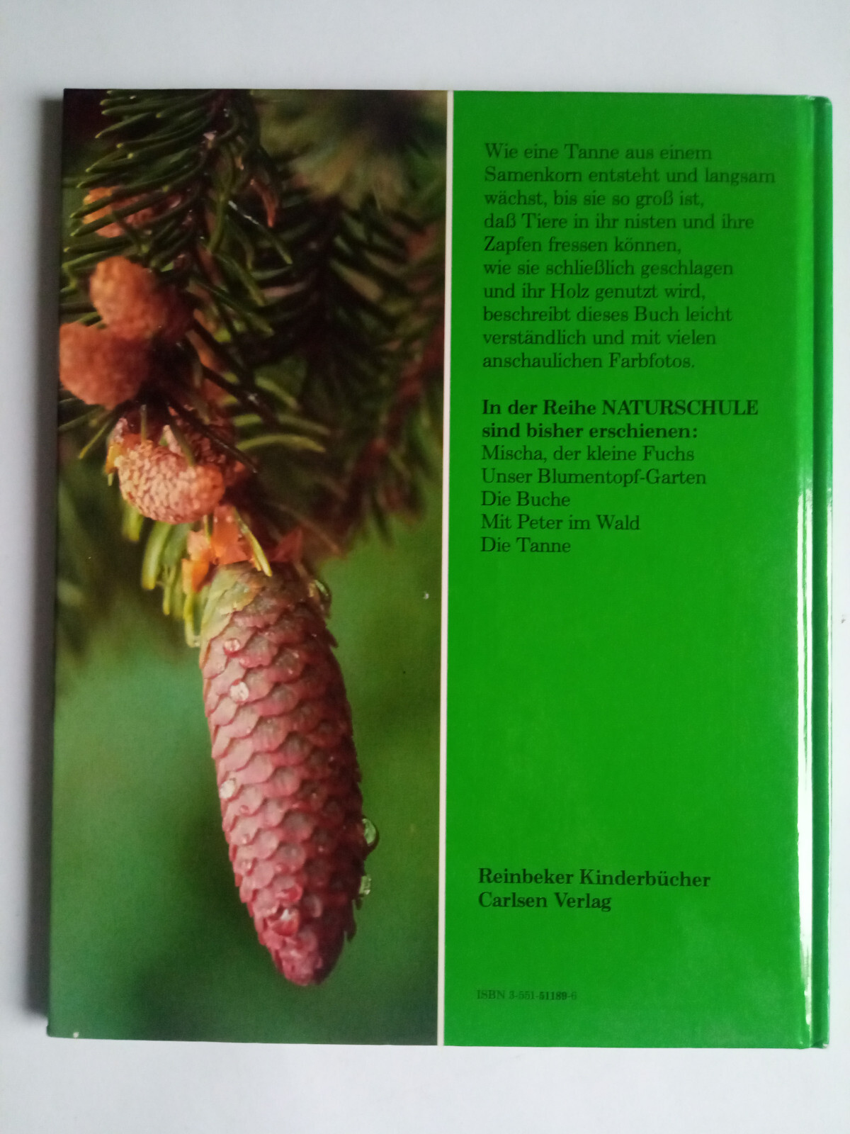Die Tanne – Bjorn Dossing – Naturschule – Carlsen Verlag – Gebundene Ausgabe