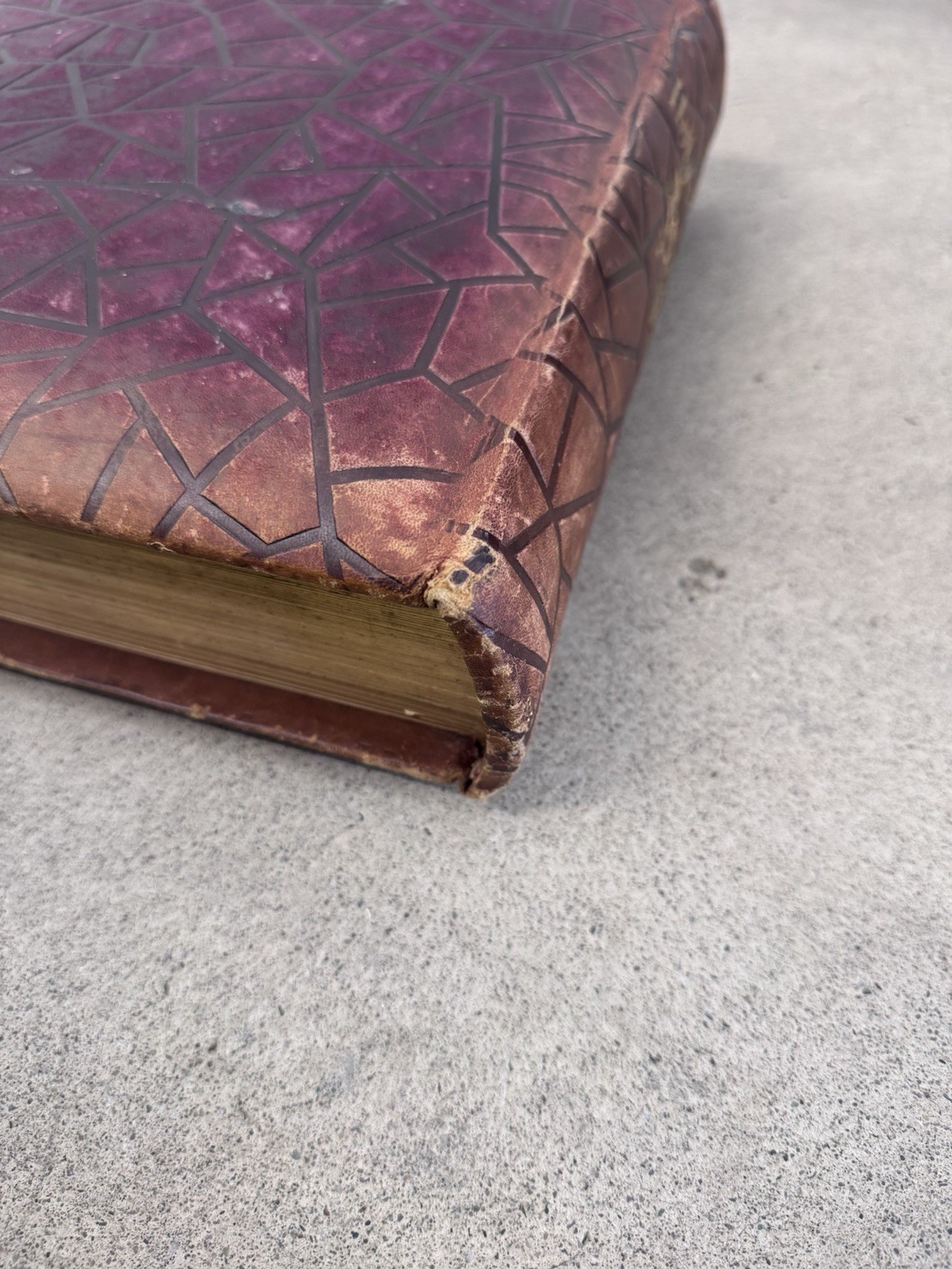 1800s Vintage Book Holy Bible Altemus Antique Leather Original