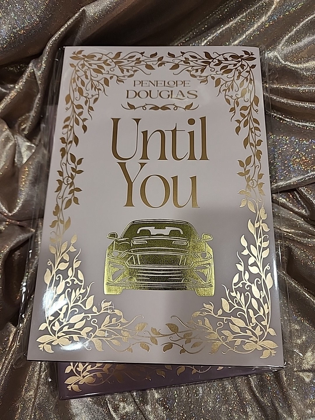 Fall Away Series by Penelope Douglas Books for Days Crate BFDC Special Editions