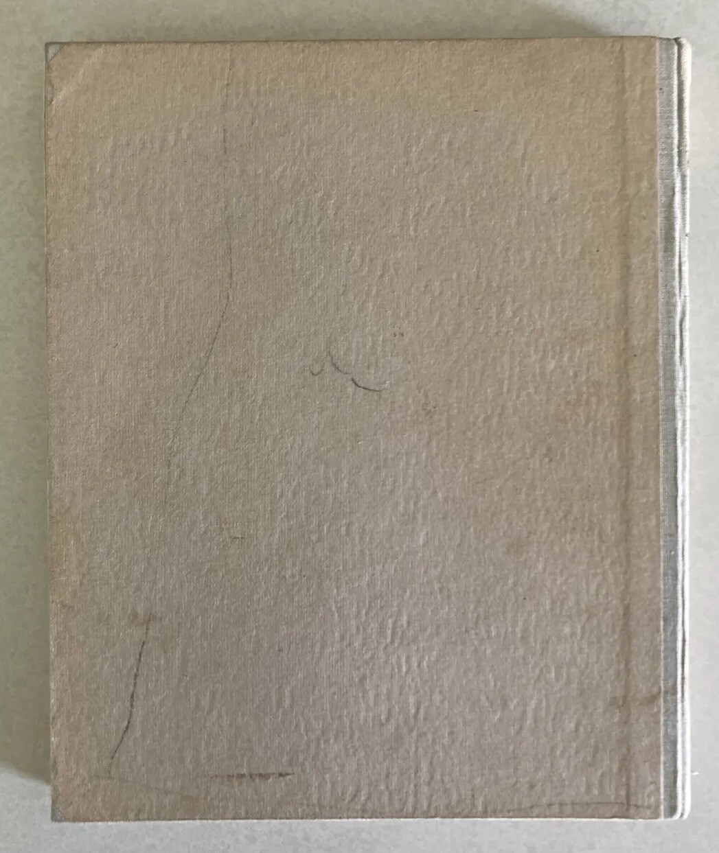 1917 HC in German, Photo Diary of Crown Prince Wilhelm By Ernst Vollbehr, WW1