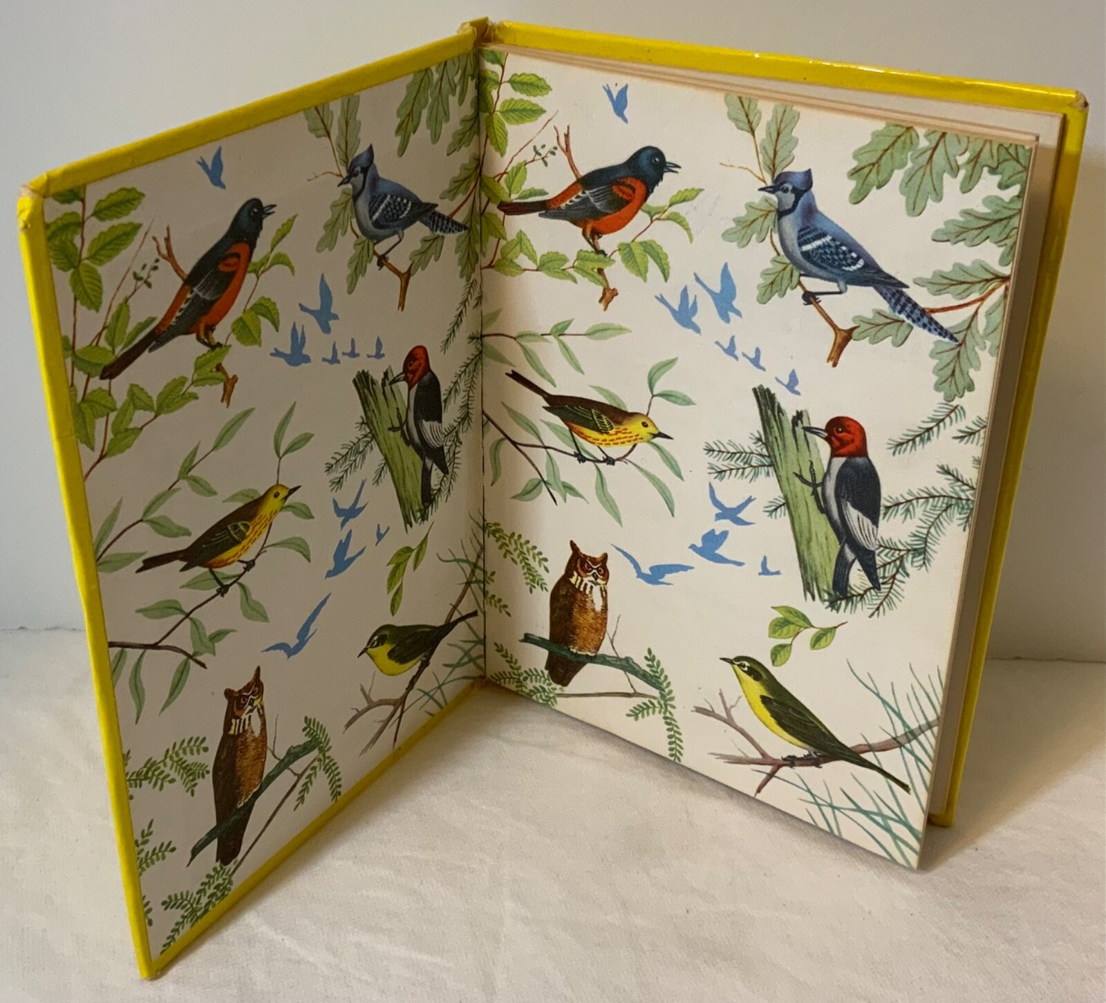 VTG 1954 The Yellow Book of Birds Of America Whitman Publishing 2978:25 HTF
