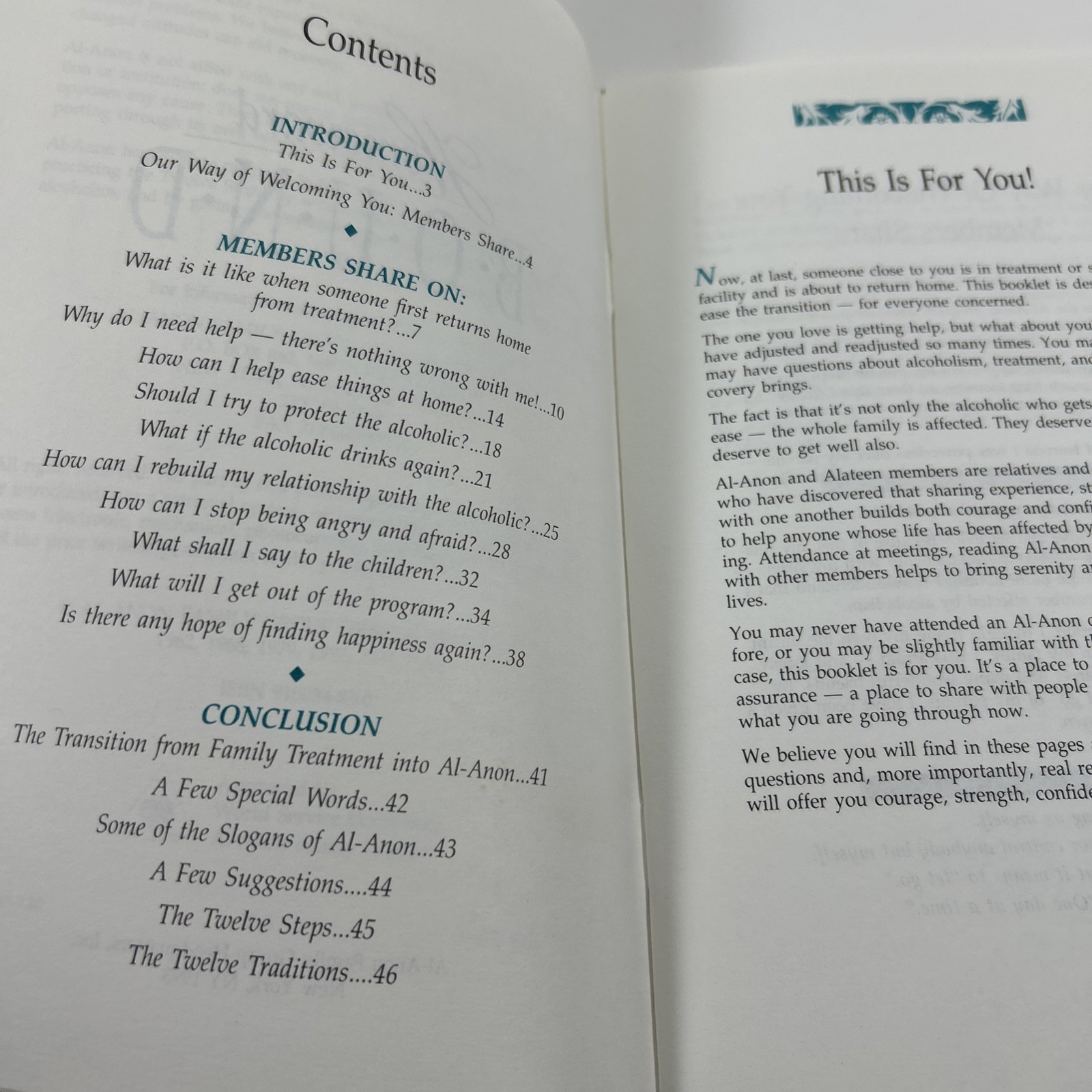 Homeward Bound by Al-Anon Family Group Headquarters, 1993, 48 pages