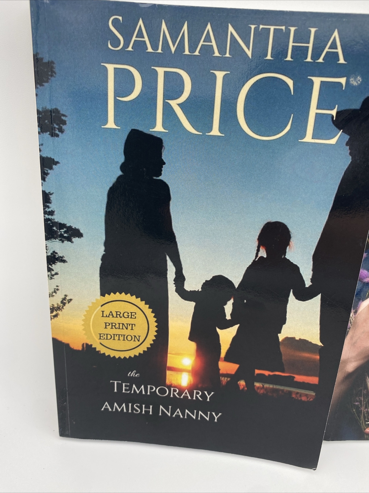 The Temporary Amish Nanny & The Amish Bishops Daughter Large Print books