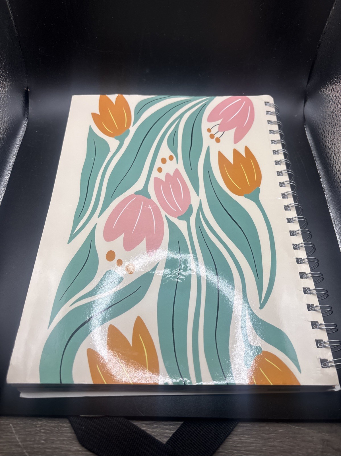 The Bible in a Year Spiral Bound Study Guide 52-Week Journey Through God’s Word