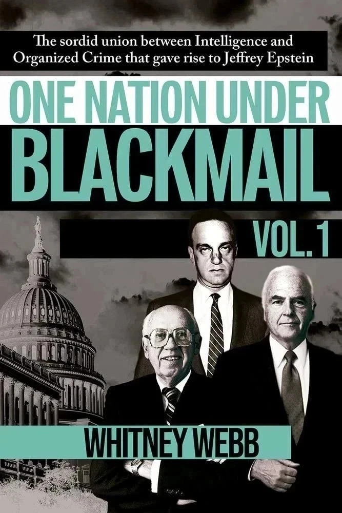 One Nation Under Blackmail – Vol. 1 by Whitney Alyse Webb, Paperback Free Ship