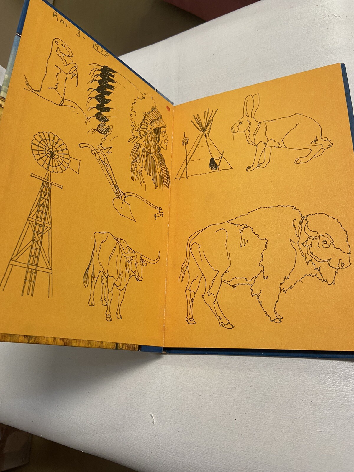 Plains And Prairies by Woods Palmer Jr. 1968 Hardcover Very Nice Vintage Find