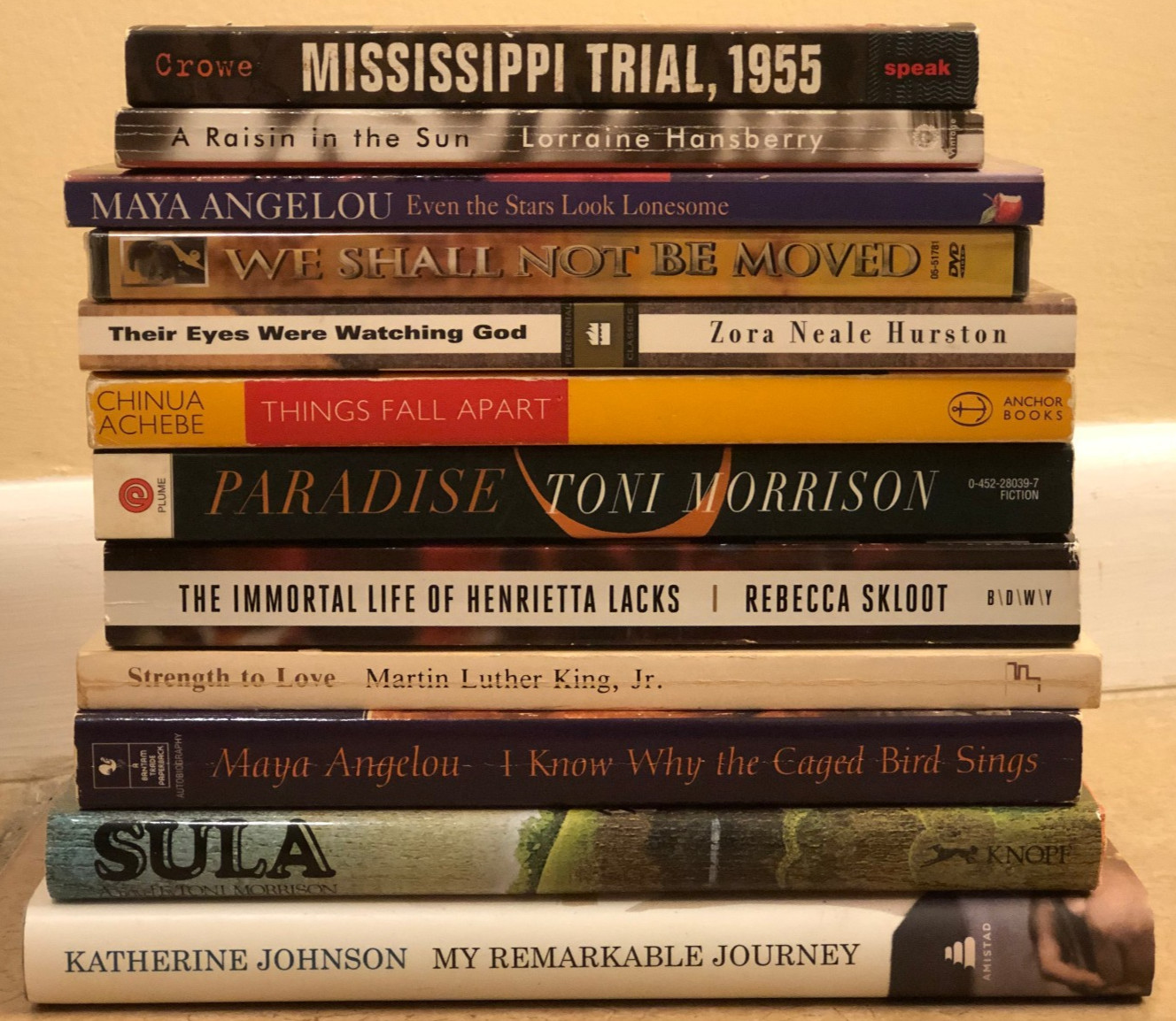 Lot of 11 African American Studies Books + DVD We Shall not be Moved NIP~ MLK ++