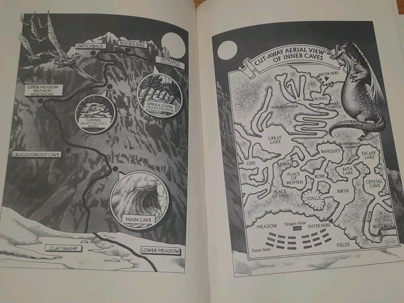 Pit Dragon Trilogy Three Volumes in One by Jane Yolen Bob Eggleton Jacket BCE