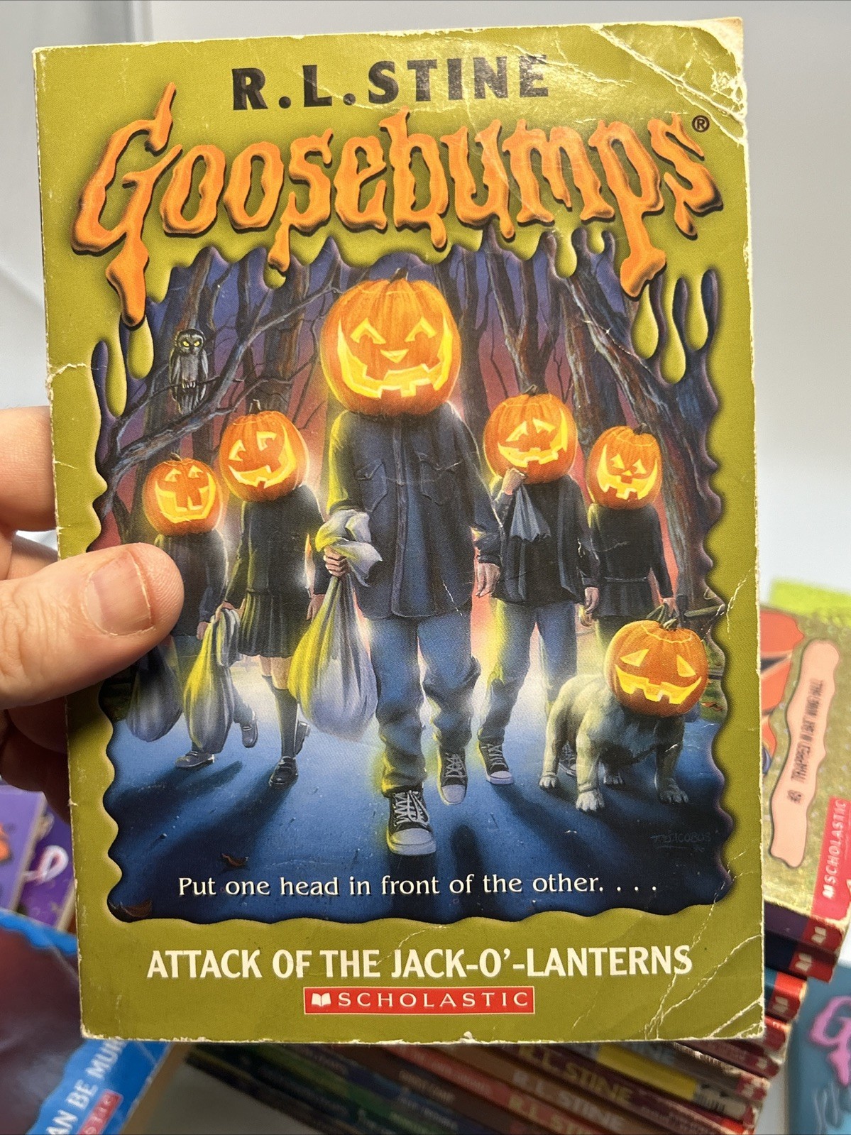 RL Stine Book Lot – 23 Goosebumps Rotten School, Mixed Years, Vintage, 1 Double