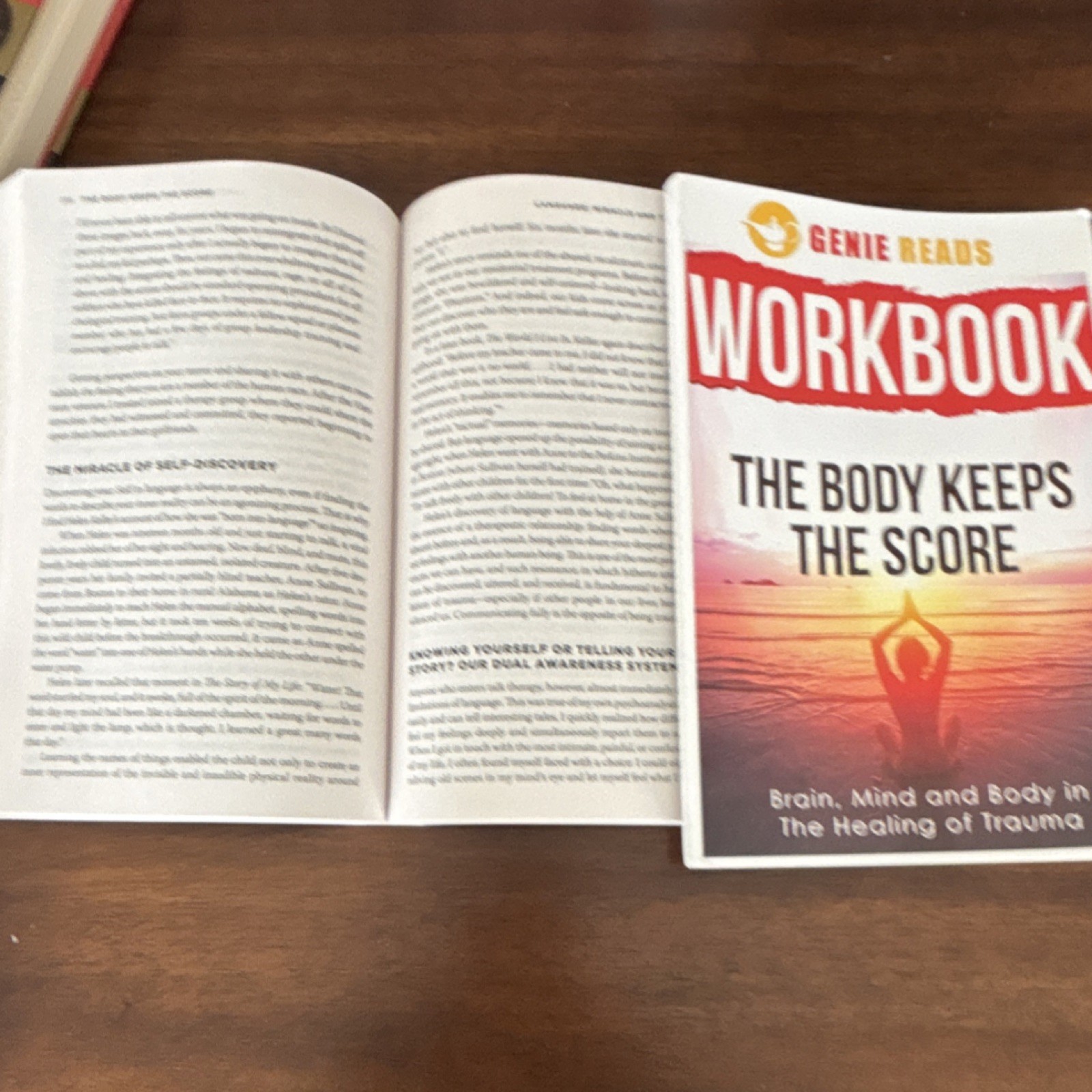 Body Keeps the Score Workbook Bessel van der Kolk Genie Reads Paperback Penguin…