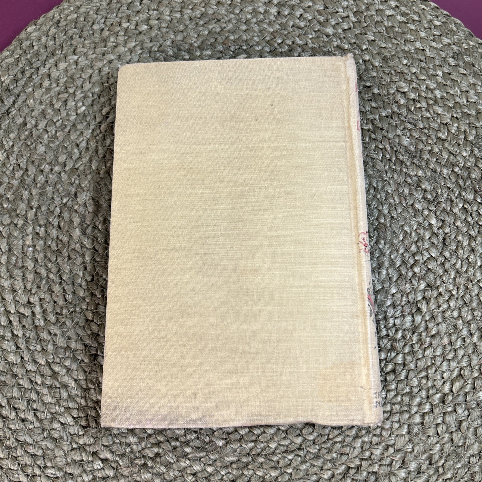 Antique 1915 Fighting in the Clouds For France Colonel James Fiske Book WW1