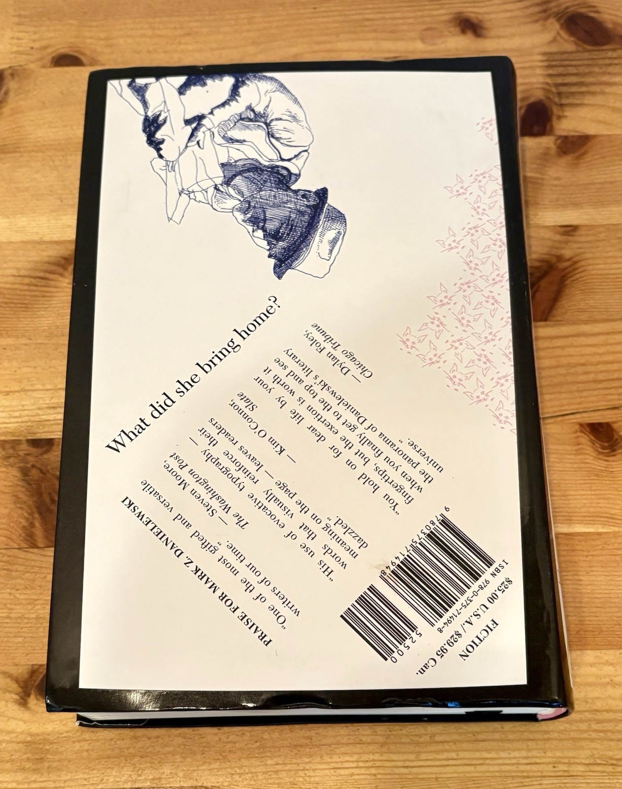 The Familiar, Volume 1 Novel by Mark Z. Danielewski