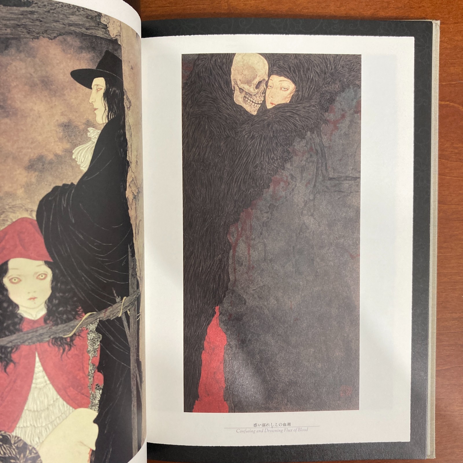 Takato Yamamoto Rib of a Hermaphrodite Art Book Illustration