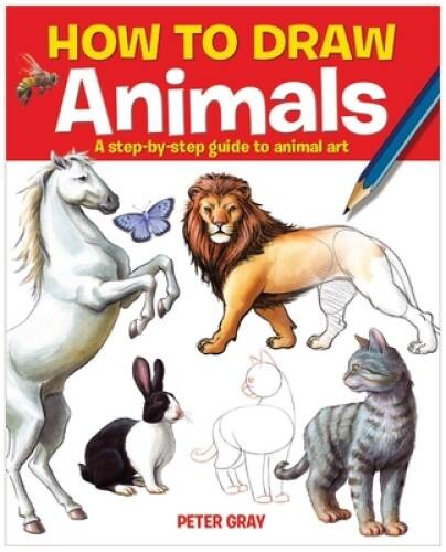 How to Draw Animals – Paperback By Arcturus Publishing – GOOD